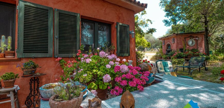Casa di campagna in vendita Luogosanto Ref Calcinaggiu