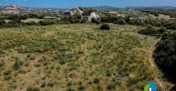 Casa di campagna in vendita Luogosanto Ref Calcinaggiu