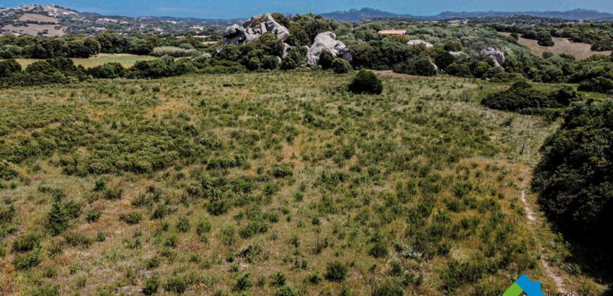 Casa di campagna in vendita Luogosanto Ref Calcinaggiu