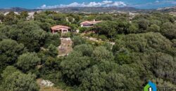 Casa di campagna in vendita Luogosanto Ref Calcinaggiu