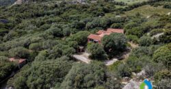 Casa di campagna in vendita Luogosanto Ref Calcinaggiu