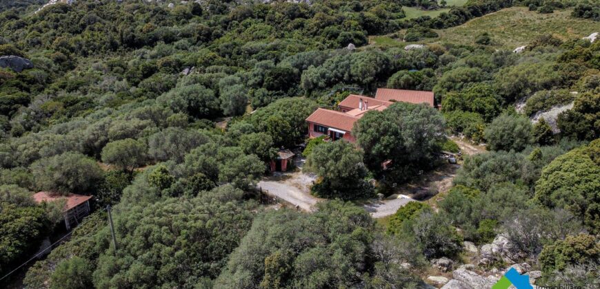 Casa di campagna in vendita Luogosanto Ref Calcinaggiu