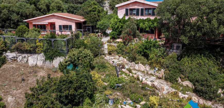 Casa di campagna in vendita Luogosanto Ref Calcinaggiu