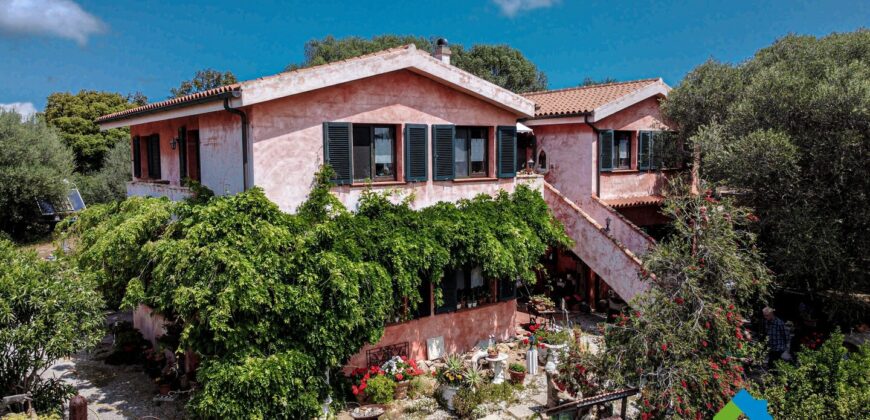 Casa di campagna in vendita Luogosanto Ref Calcinaggiu