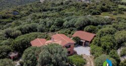 Casa di campagna in vendita Luogosanto Ref Calcinaggiu