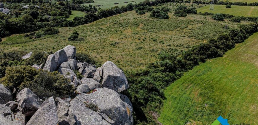Casa di campagna in vendita Luogosanto Ref Calcinaggiu