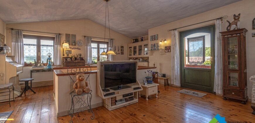 Casa di campagna in vendita Luogosanto Ref Calcinaggiu