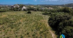 Casa di campagna in vendita Luogosanto Ref Calcinaggiu