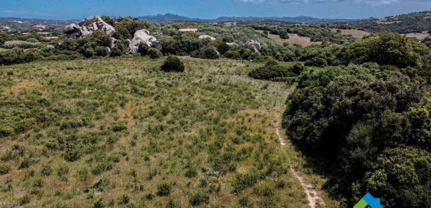 Casa di campagna in vendita Luogosanto Ref Calcinaggiu