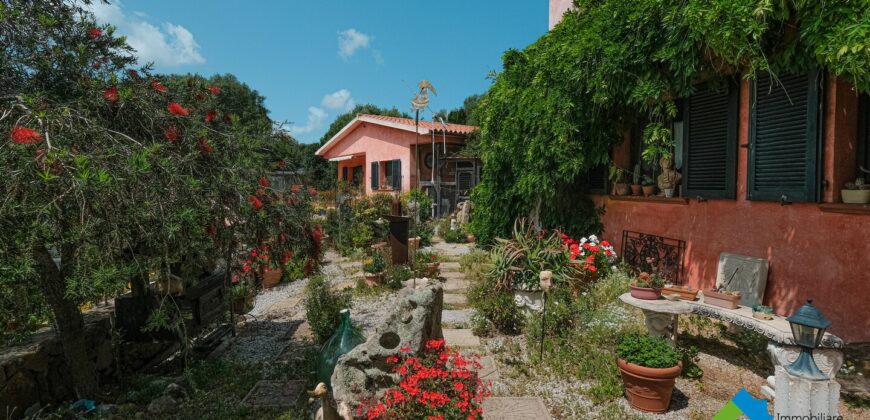 Casa di campagna in vendita Luogosanto Ref Calcinaggiu