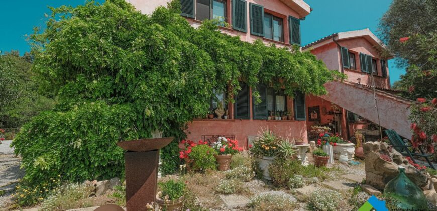 Casa di campagna in vendita Luogosanto Ref Calcinaggiu