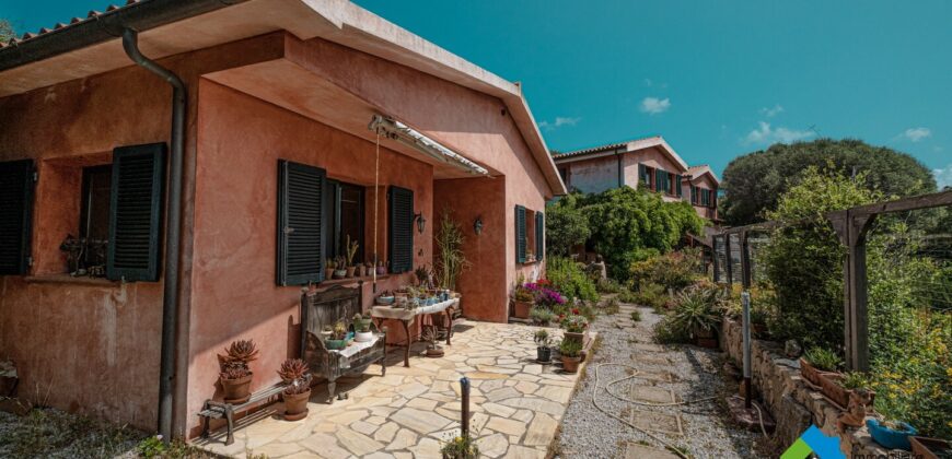 Casa di campagna in vendita Luogosanto Ref Calcinaggiu