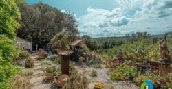 Casa di campagna in vendita Luogosanto Ref Calcinaggiu