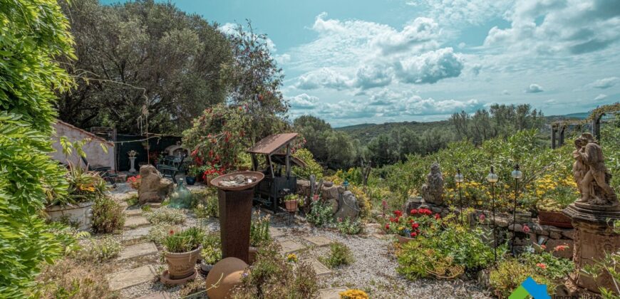 Casa di campagna in vendita Luogosanto Ref Calcinaggiu