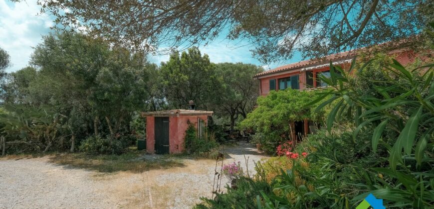 Casa di campagna in vendita Luogosanto Ref Calcinaggiu
