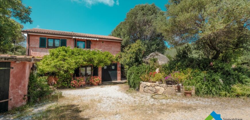 Casa di campagna in vendita Luogosanto Ref Calcinaggiu