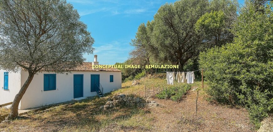 Stazzo in vendita Arzachena ref San Biagio
