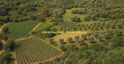 Stazzo in vendita Arzachena ref San Biagio