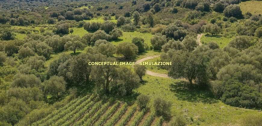 Stazzo in vendita Arzachena ref San Biagio