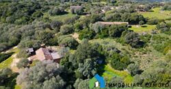 Stazzo in vendita Arzachena ref San Biagio