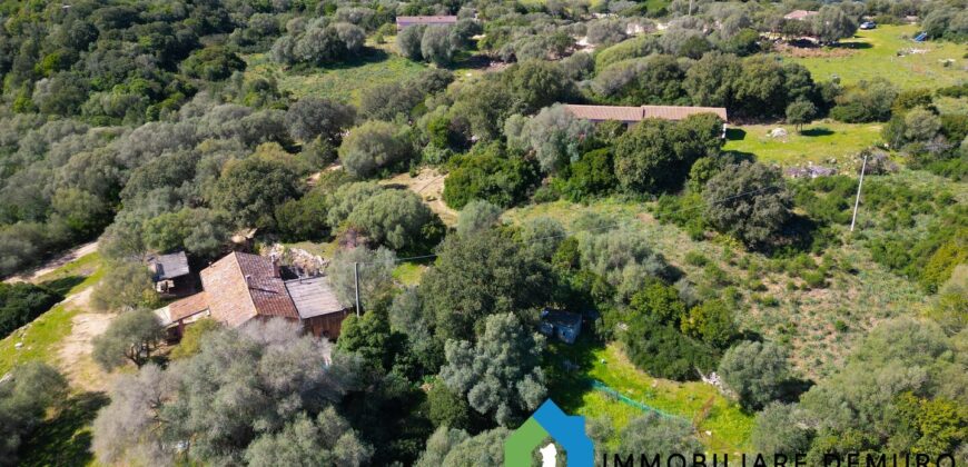 Stazzo in vendita Arzachena ref San Biagio