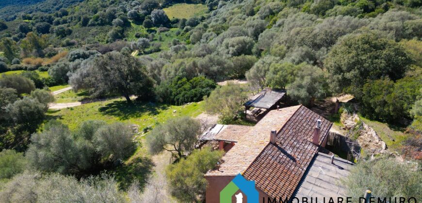 Stazzo in vendita Arzachena ref San Biagio