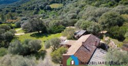 Stazzo in vendita Arzachena ref San Biagio