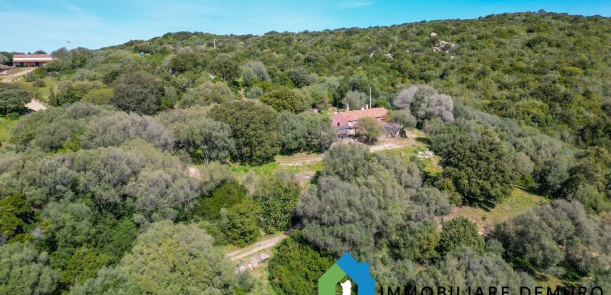 Stazzo in vendita Arzachena ref San Biagio