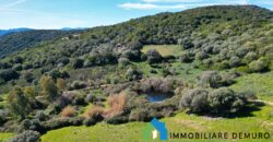 Stazzo in vendita Arzachena ref San Biagio