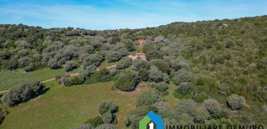 Stazzo in vendita Arzachena ref San Biagio