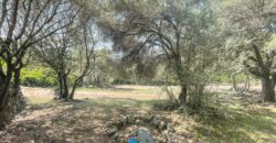 Stazzo in vendita Arzachena ref San Biagio