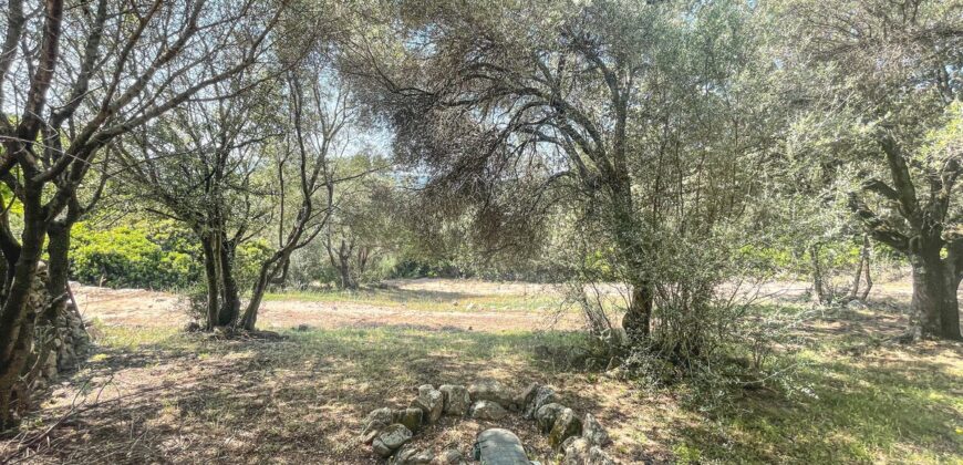 Stazzo in vendita Arzachena ref San Biagio