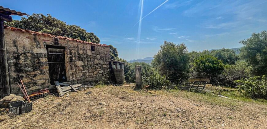 Stazzo in vendita Arzachena ref San Biagio
