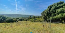 Stazzo in vendita Arzachena ref San Biagio