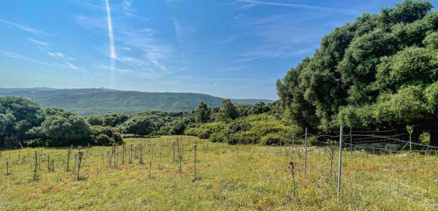Stazzo in vendita Arzachena ref San Biagio