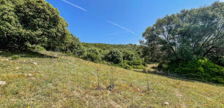 Stazzo in vendita Arzachena ref San Biagio