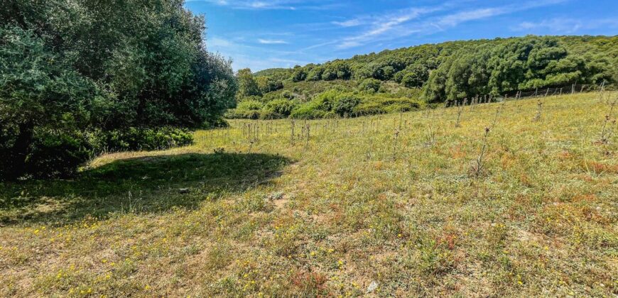Stazzo in vendita Arzachena ref San Biagio