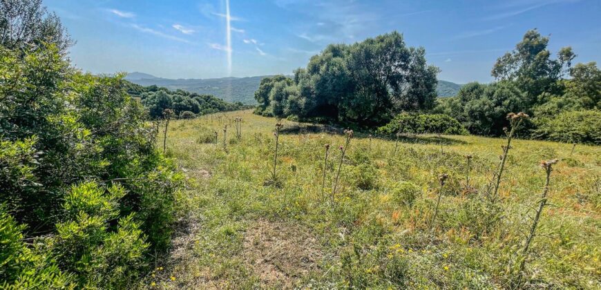 Stazzo in vendita Arzachena ref San Biagio