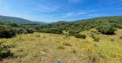 Stazzo in vendita Arzachena ref San Biagio