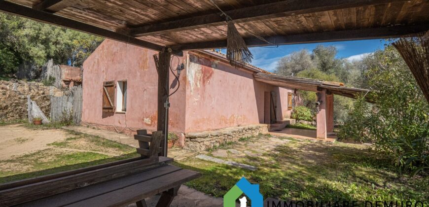 Stazzo in vendita Arzachena ref San Biagio