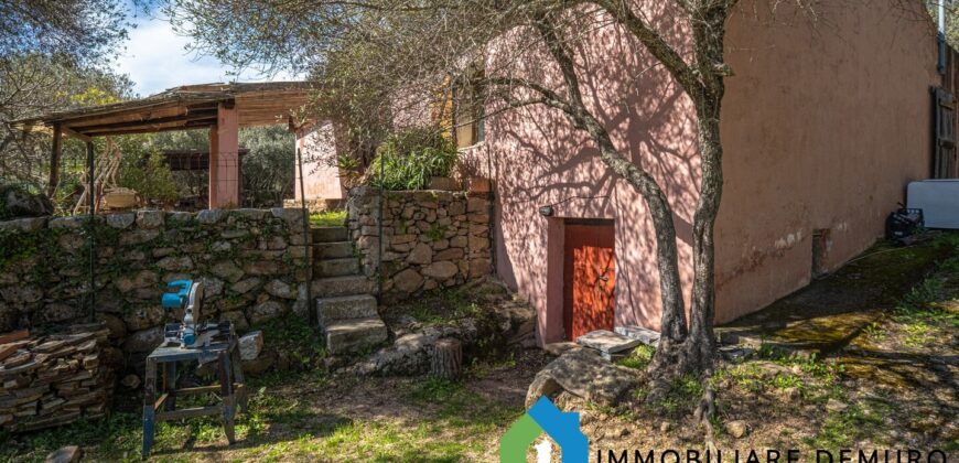Stazzo in vendita Arzachena ref San Biagio