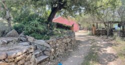 Stazzo in vendita Arzachena ref San Biagio