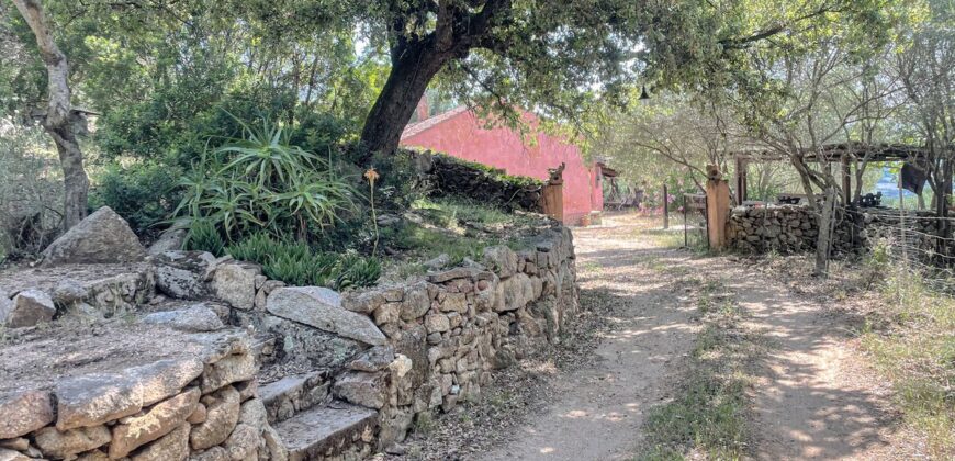 Stazzo in vendita Arzachena ref San Biagio