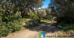 Stazzo in vendita Arzachena ref San Biagio