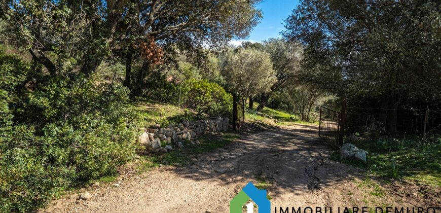 Stazzo in vendita Arzachena ref San Biagio