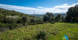 Stazzo zu verkaufen Arzachena ref San Biagio