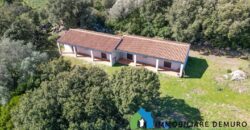 Stazzo in vendita Arzachena ref San Biagio