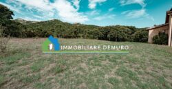 Farmhouse for sale in Gallura Sardinia ref Li Licci