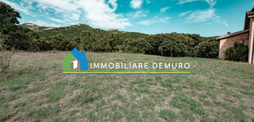 Farmhouse for sale in Gallura Sardinia ref Li Licci