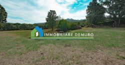 Farmhouse for sale in Gallura Sardinia ref Li Licci